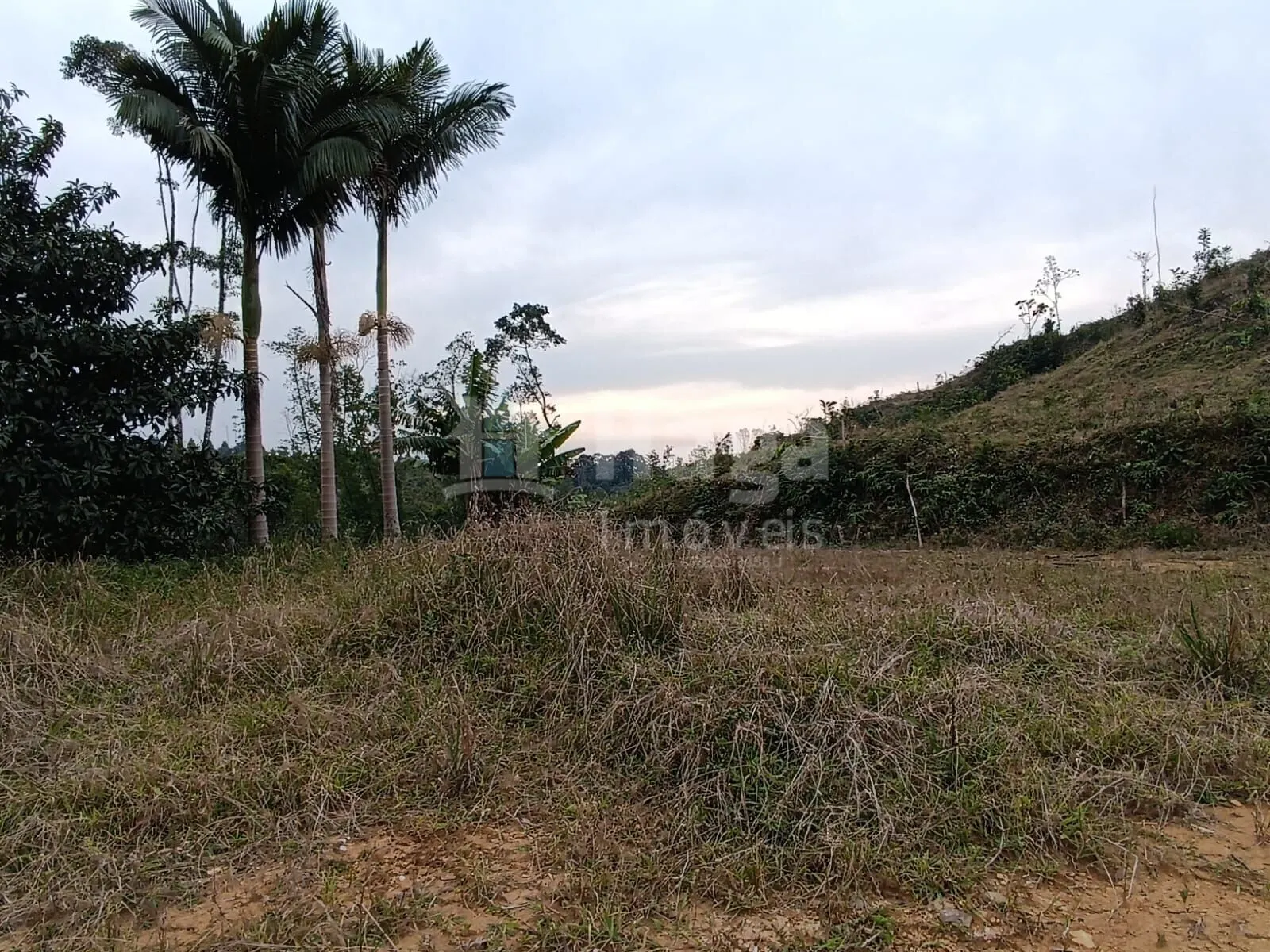 Terreno à venda de 2 ha em Botuverá, SC, Brasil
