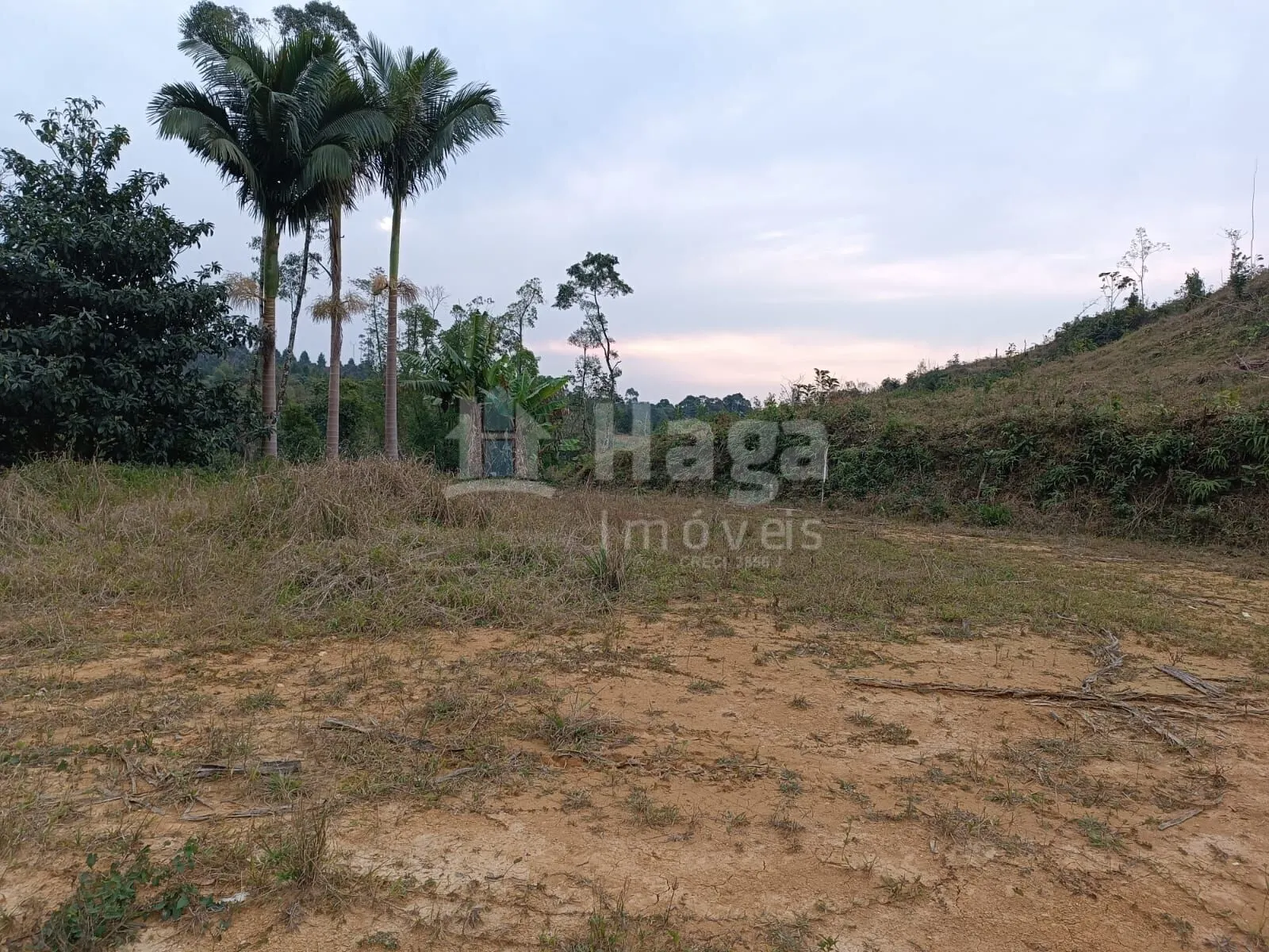 Terreno à venda de 2 ha em Botuverá, SC, Brasil