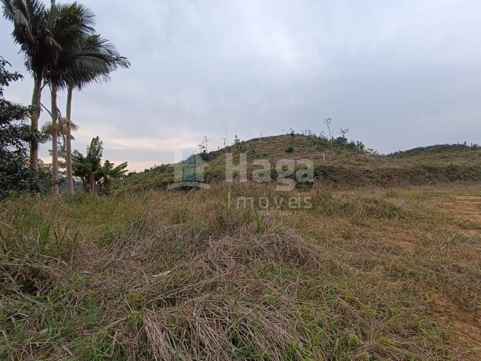 Terreno à venda de 2 ha em Botuverá, SC, Brasil