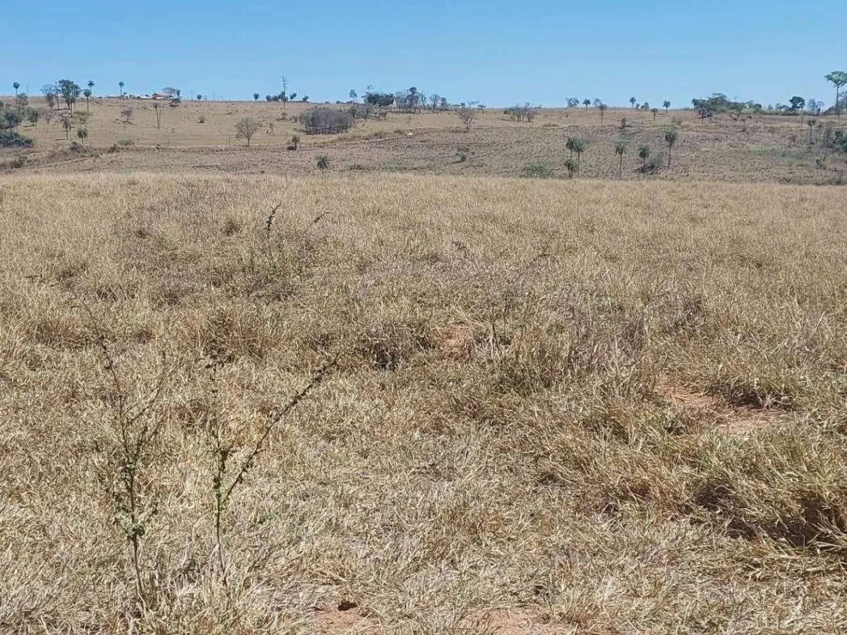 Fazenda à venda de 168 ha em São José do Rio Pardo, SP, Brasil