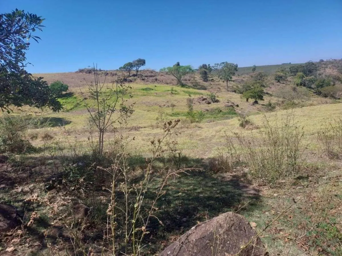 Fazenda à venda de 168 ha em São José do Rio Pardo, SP, Brasil