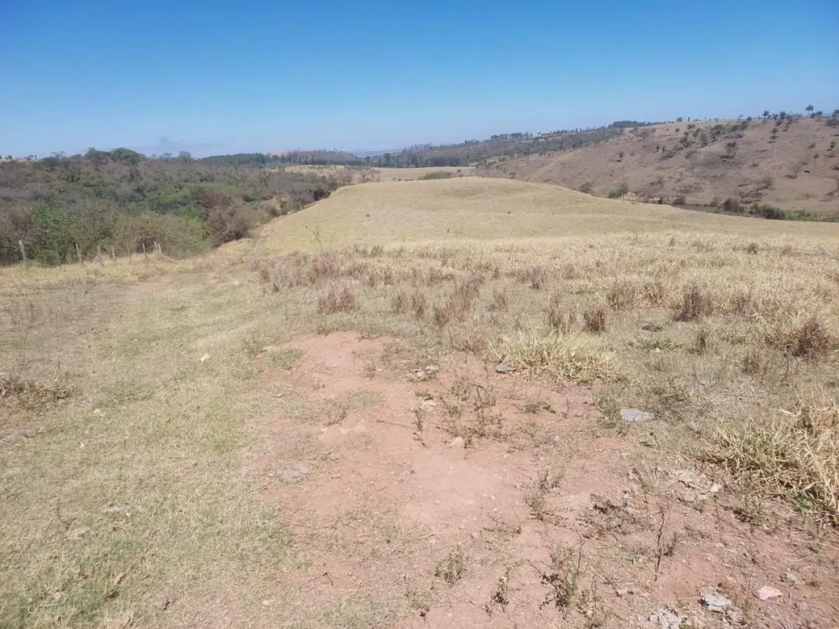 Fazenda à venda de 168 ha em São José do Rio Pardo, SP, Brasil