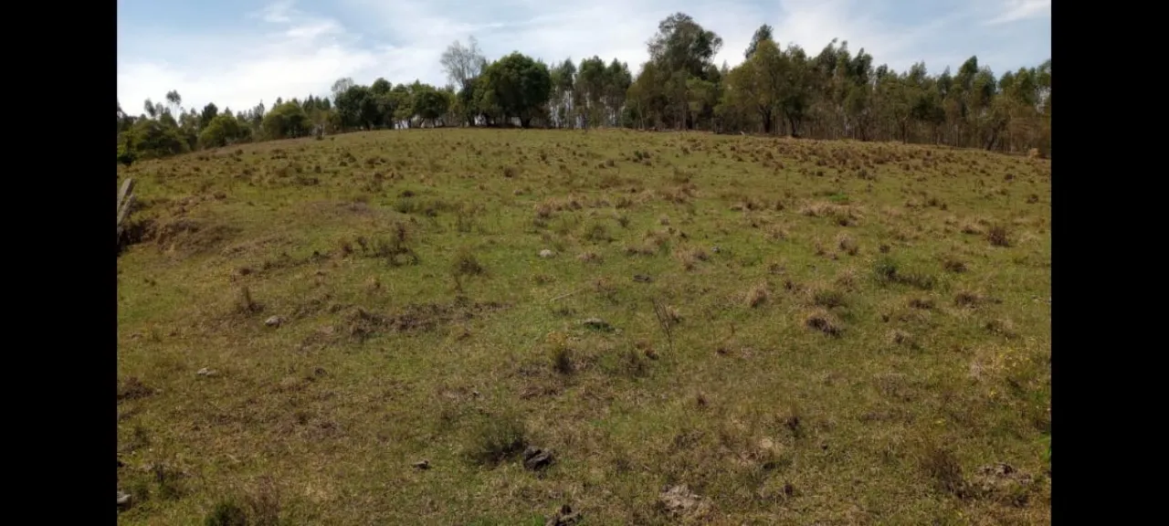 Fazenda à venda de 5 ha em São Miguel Arcanjo, SP, Brasil