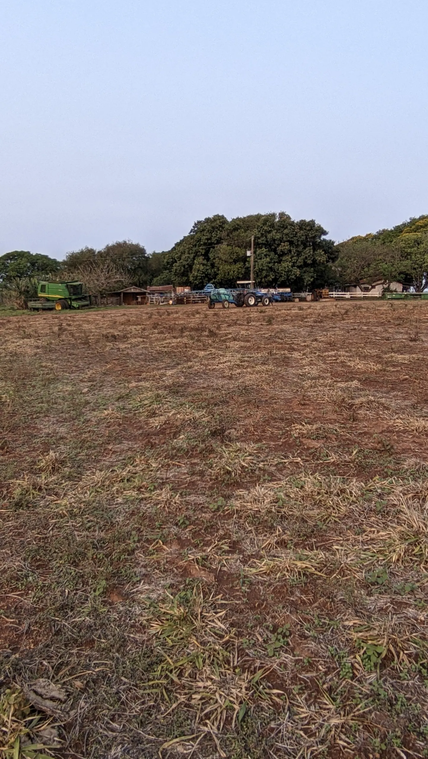 Fazenda à venda de 400 ha em Caracol, MS, Brasil