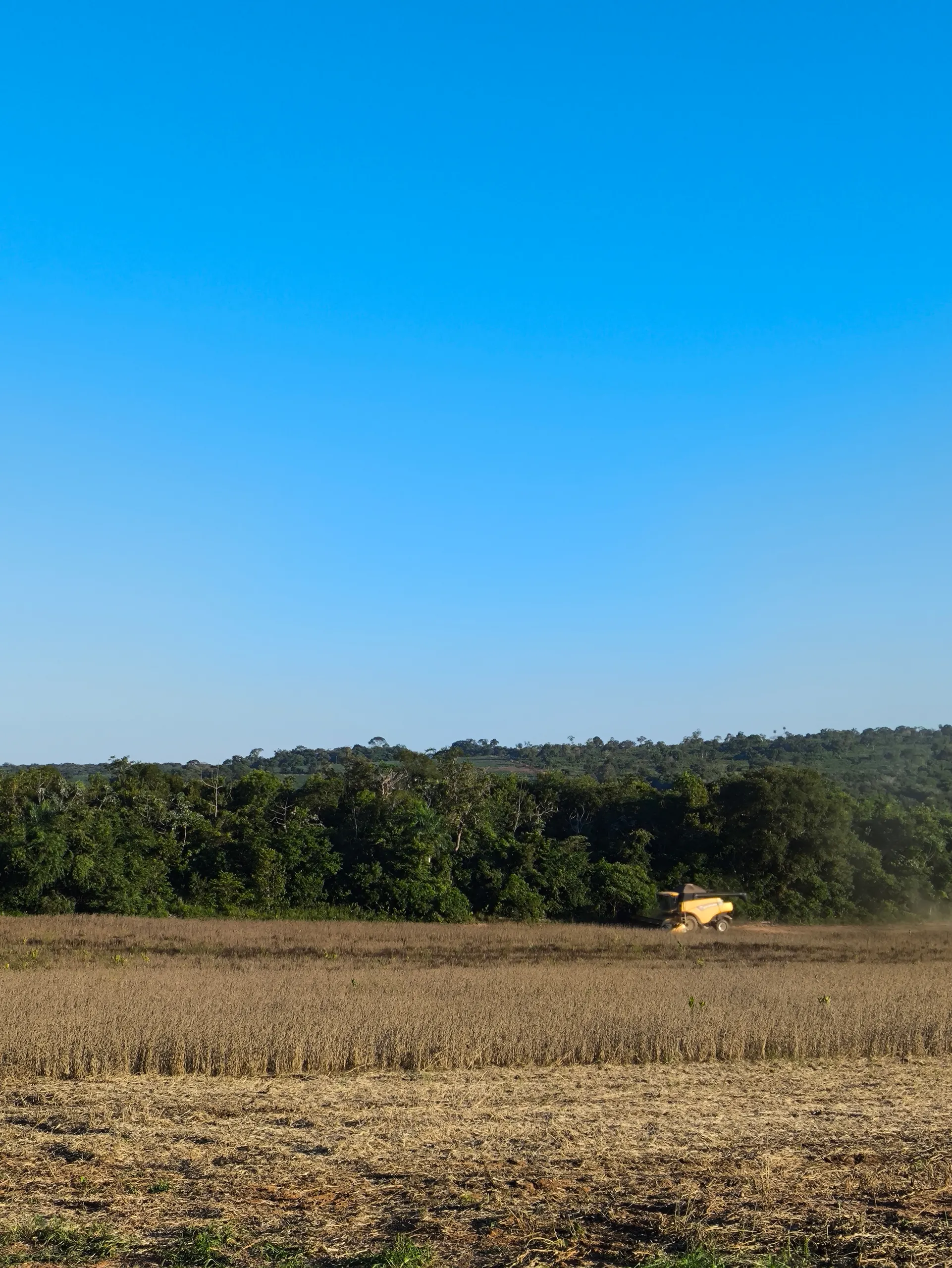 Fazenda à venda de 400 ha em Caracol, MS, Brasil