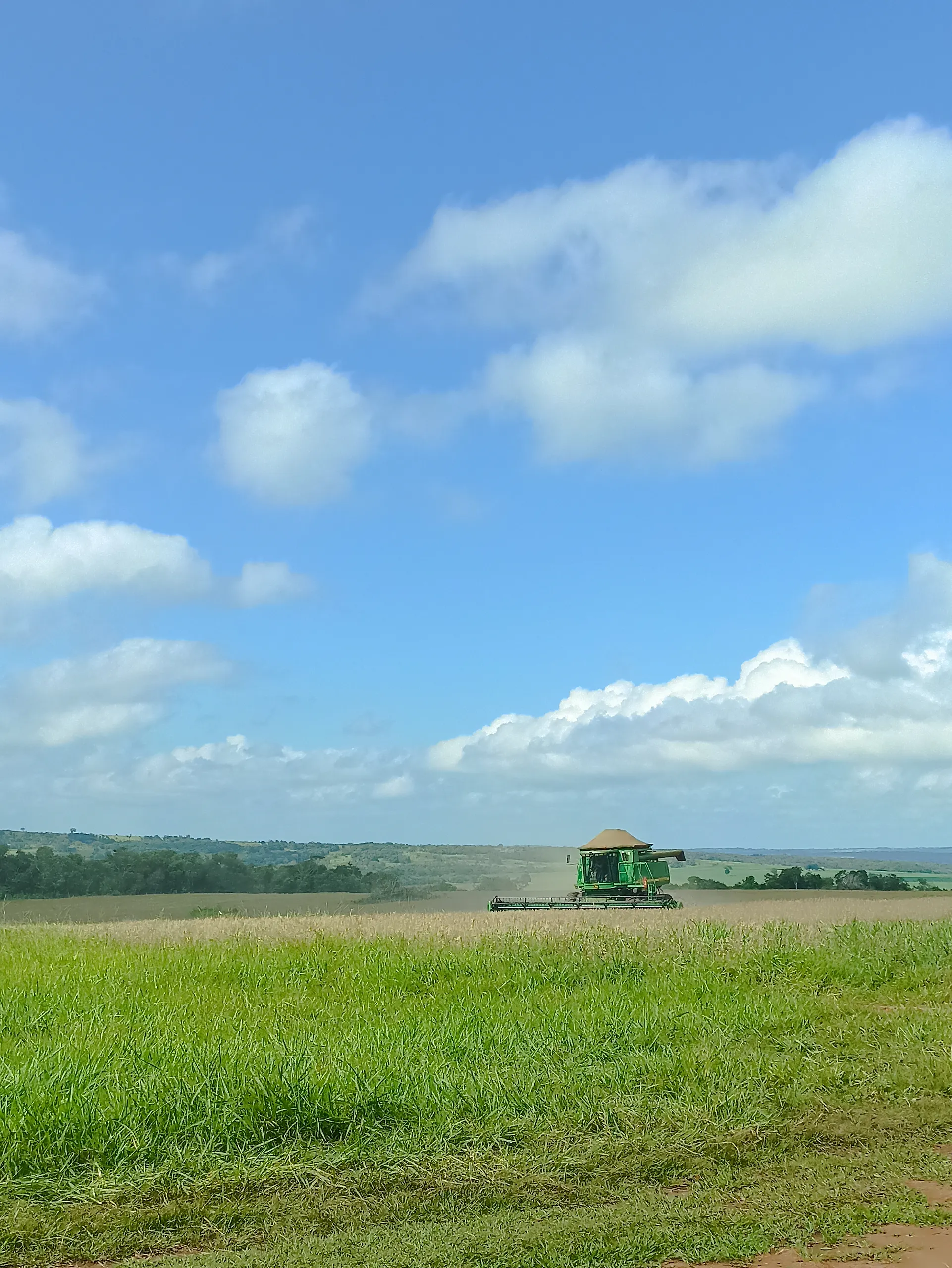 Fazenda à venda de 400 ha em Caracol, MS, Brasil