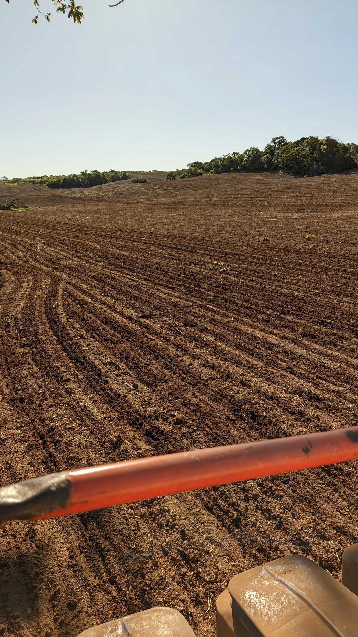 Fazenda à venda de 400 ha em Caracol, MS, Brasil