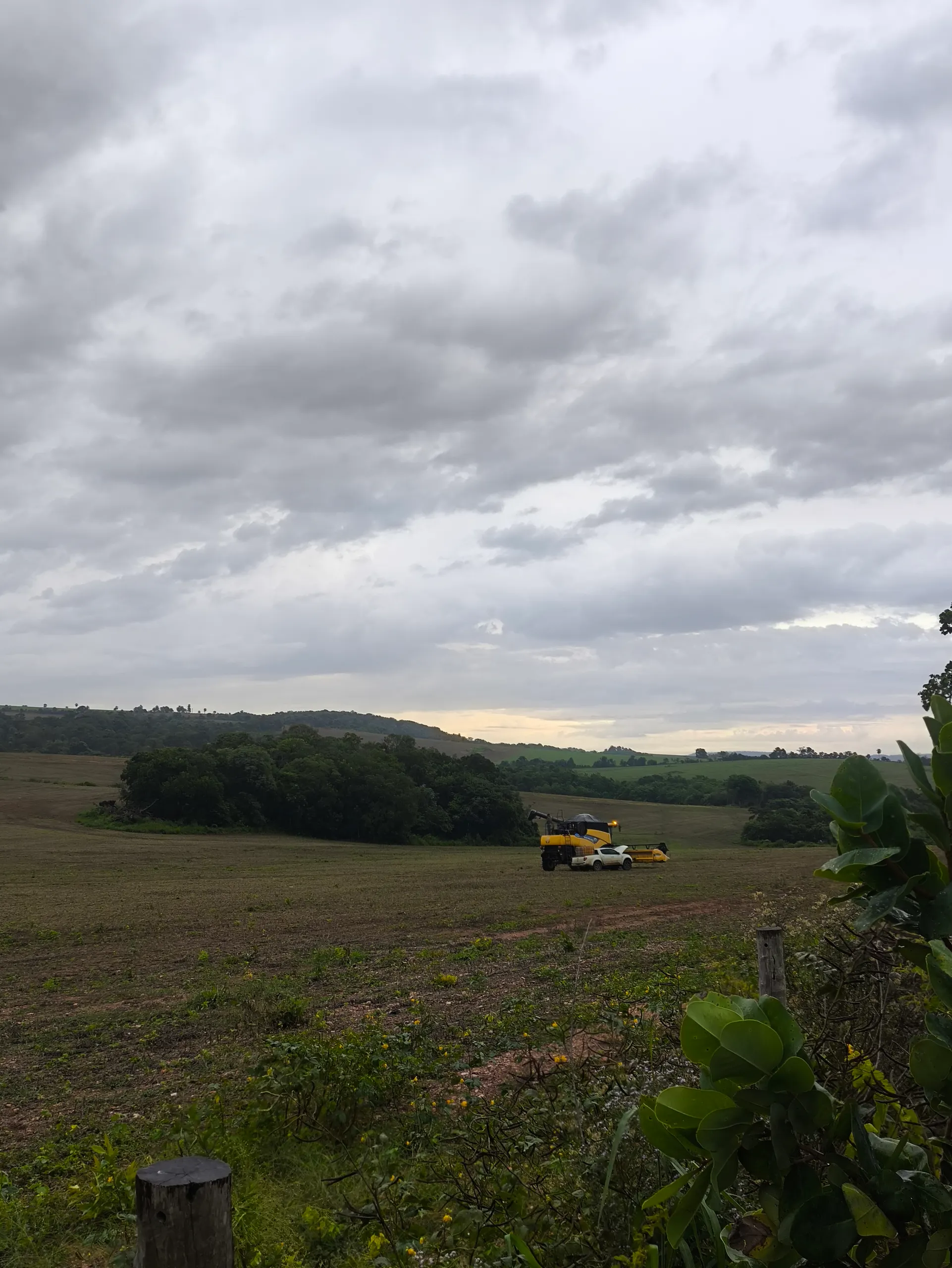 Fazenda à venda de 400 ha em Caracol, MS, Brasil
