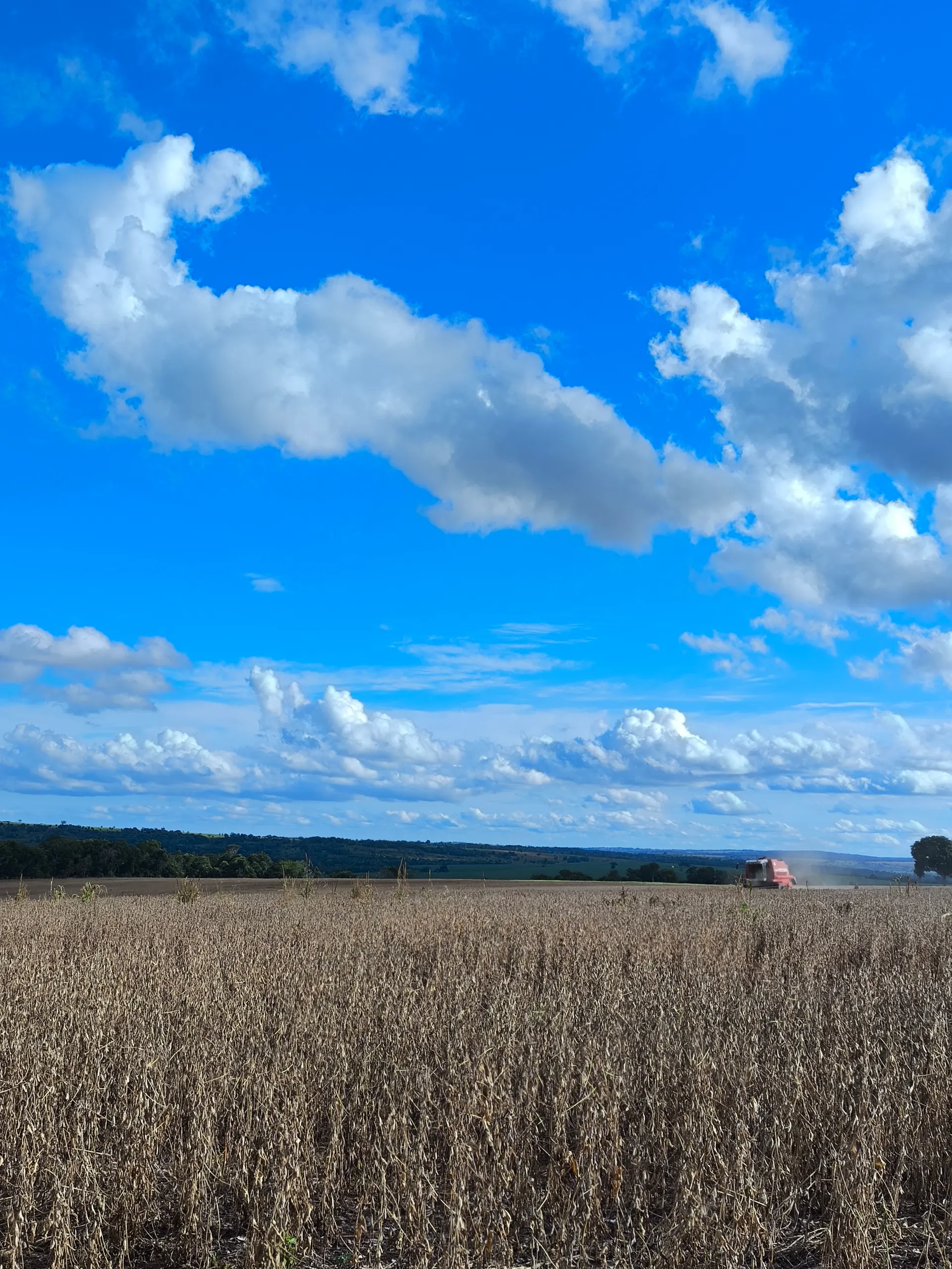 Fazenda à venda de 400 ha em Caracol, MS, Brasil