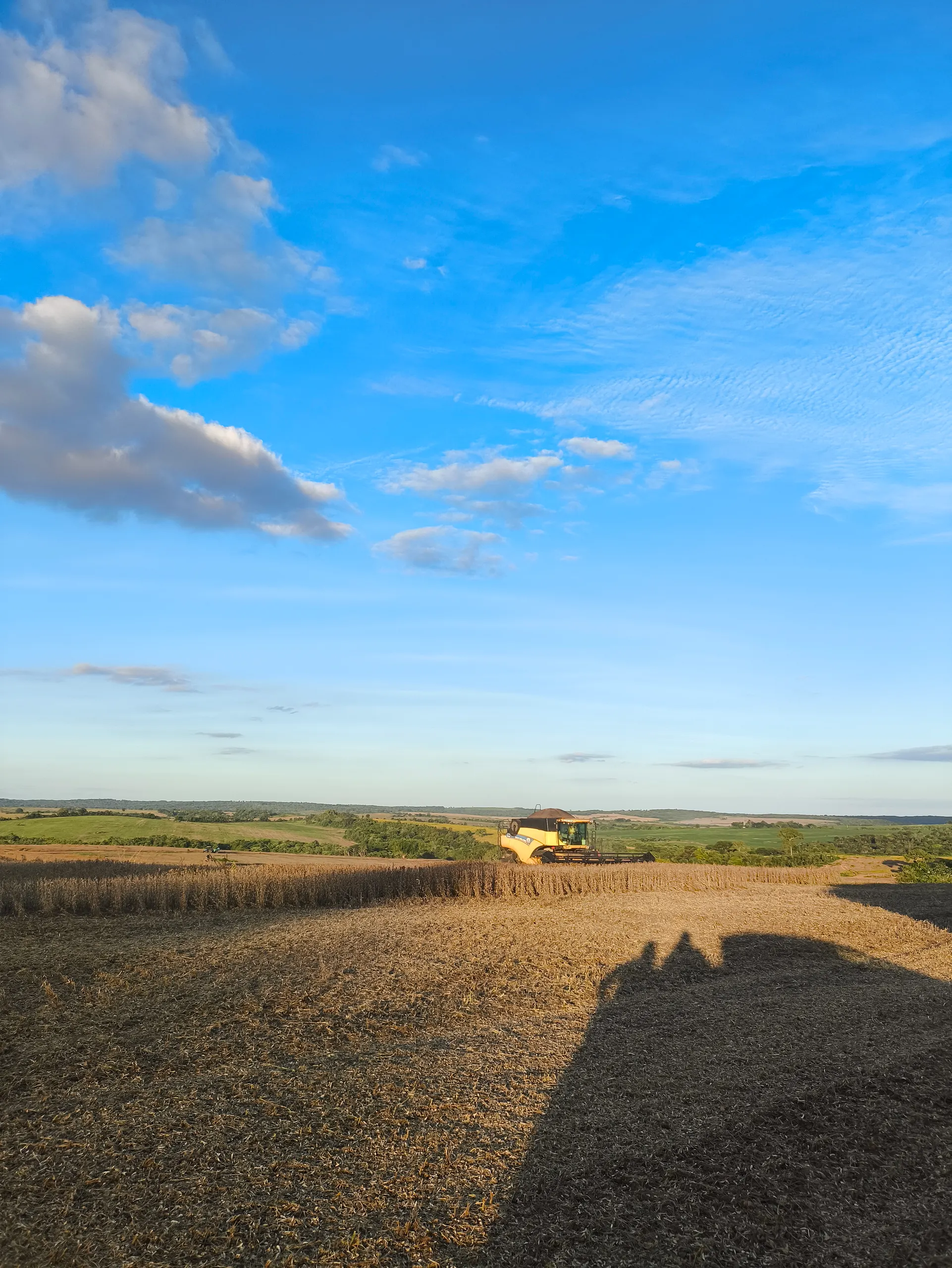 Fazenda à venda de 400 ha em Caracol, MS, Brasil