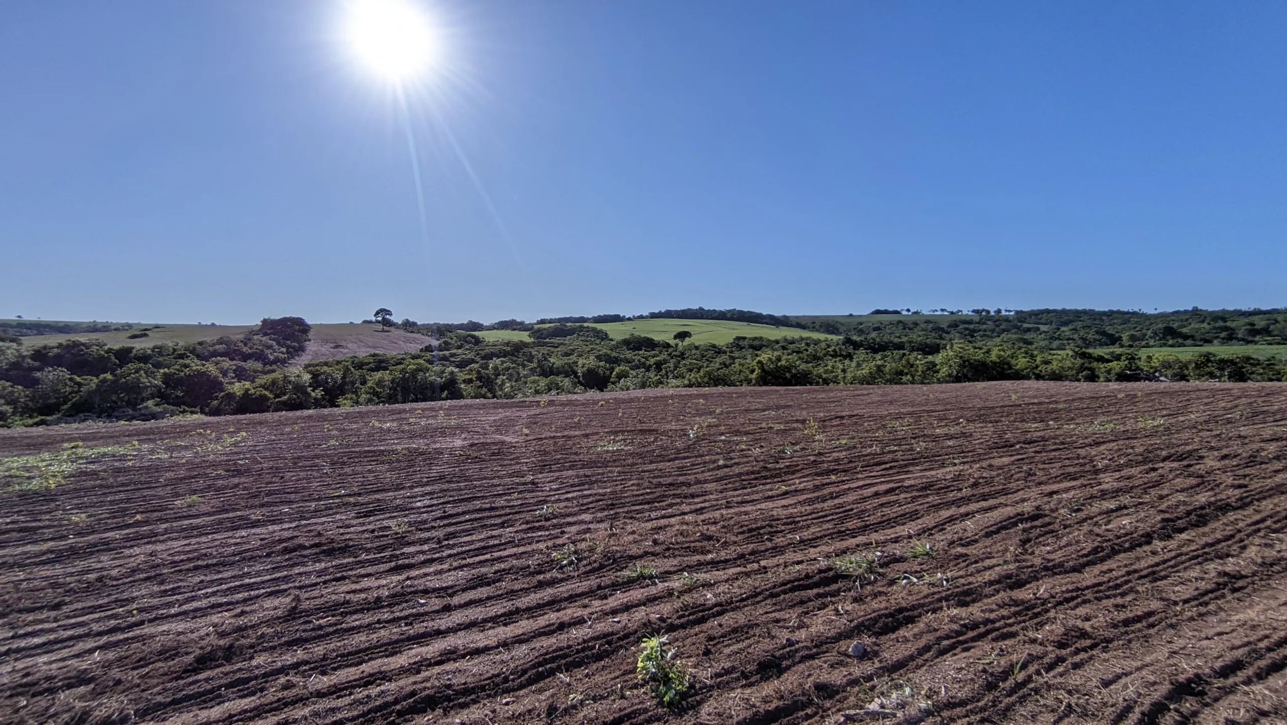 Fazenda à venda de 400 ha em Caracol, MS, Brasil