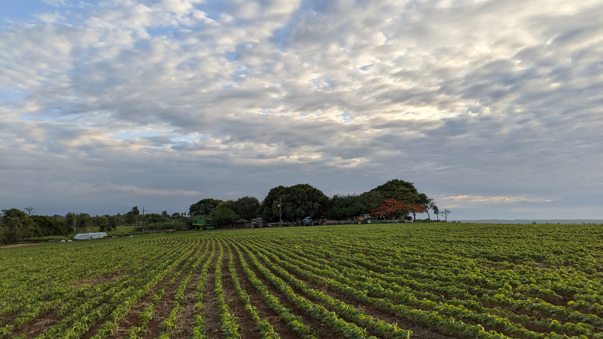 Fazenda à venda de 400 ha em Caracol, MS, Brasil