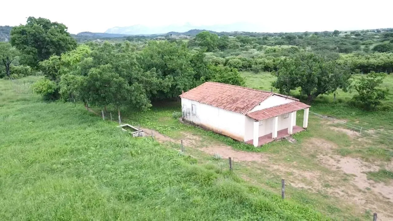 Terreno à venda de 1.310 ha em Morpará, BA, Brasil