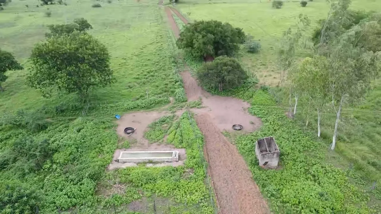 Terreno à venda de 1.310 ha em Morpará, BA, Brasil