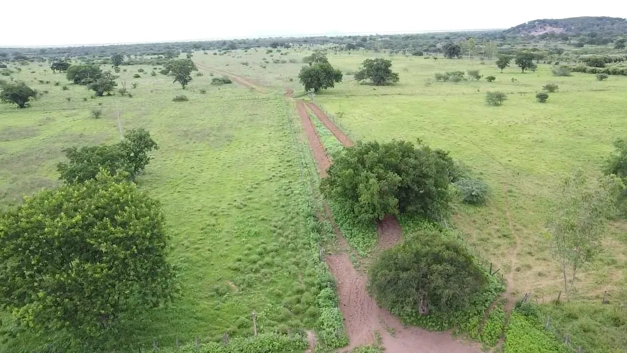 Terreno à venda de 1.310 ha em Morpará, BA, Brasil