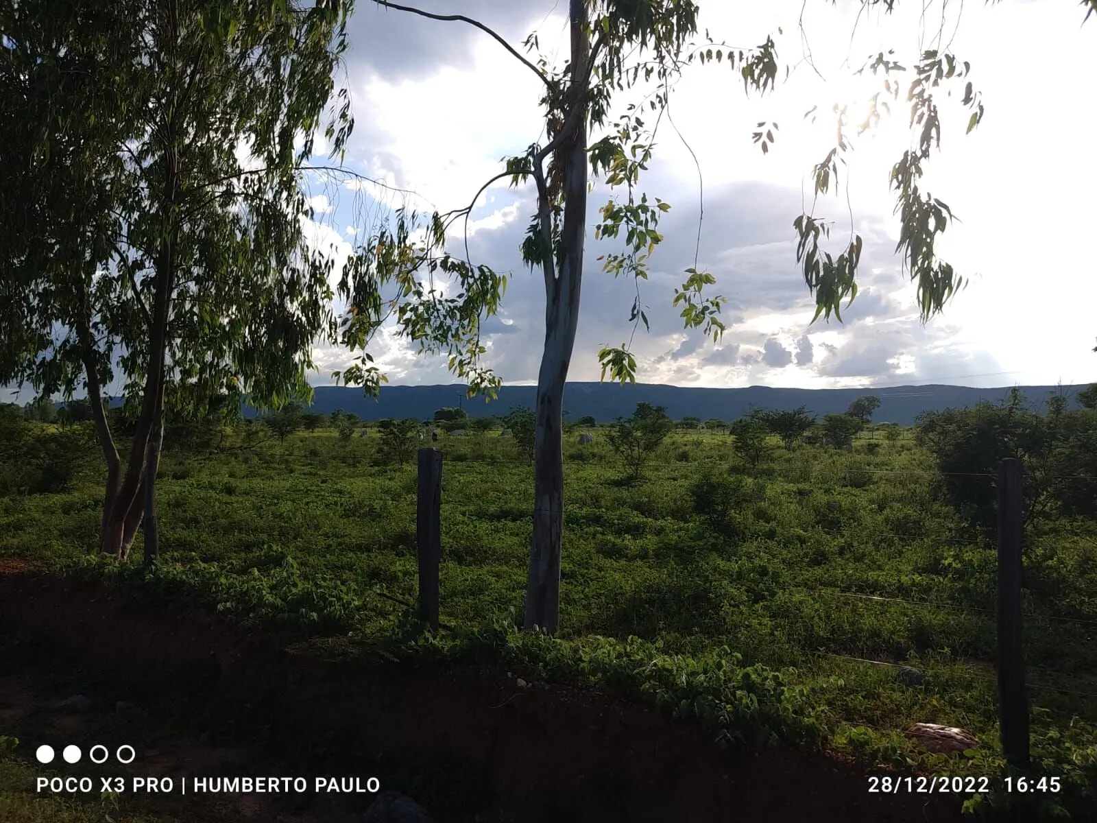Terreno à venda de 1.310 ha em Morpará, BA, Brasil