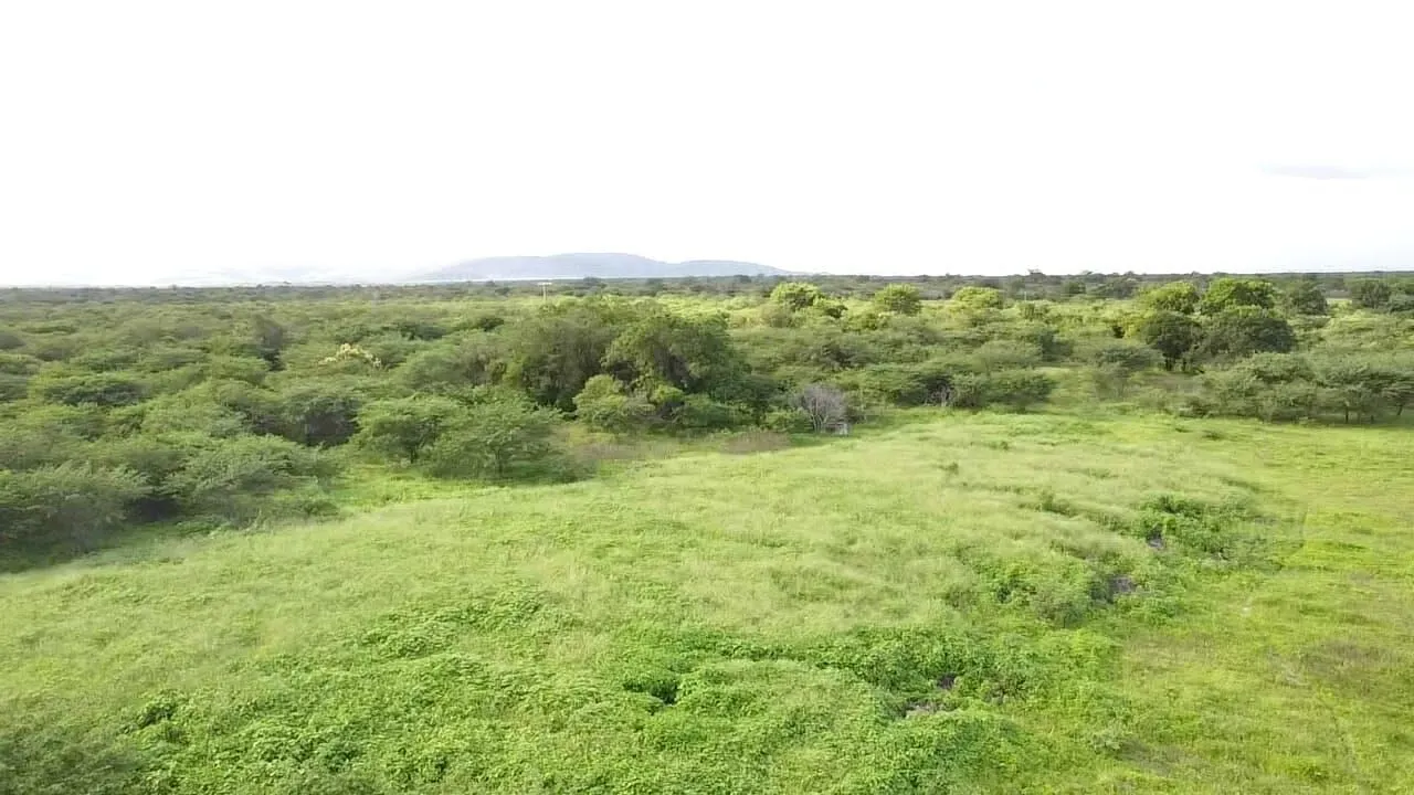 Terreno à venda de 1.310 ha em Morpará, BA, Brasil