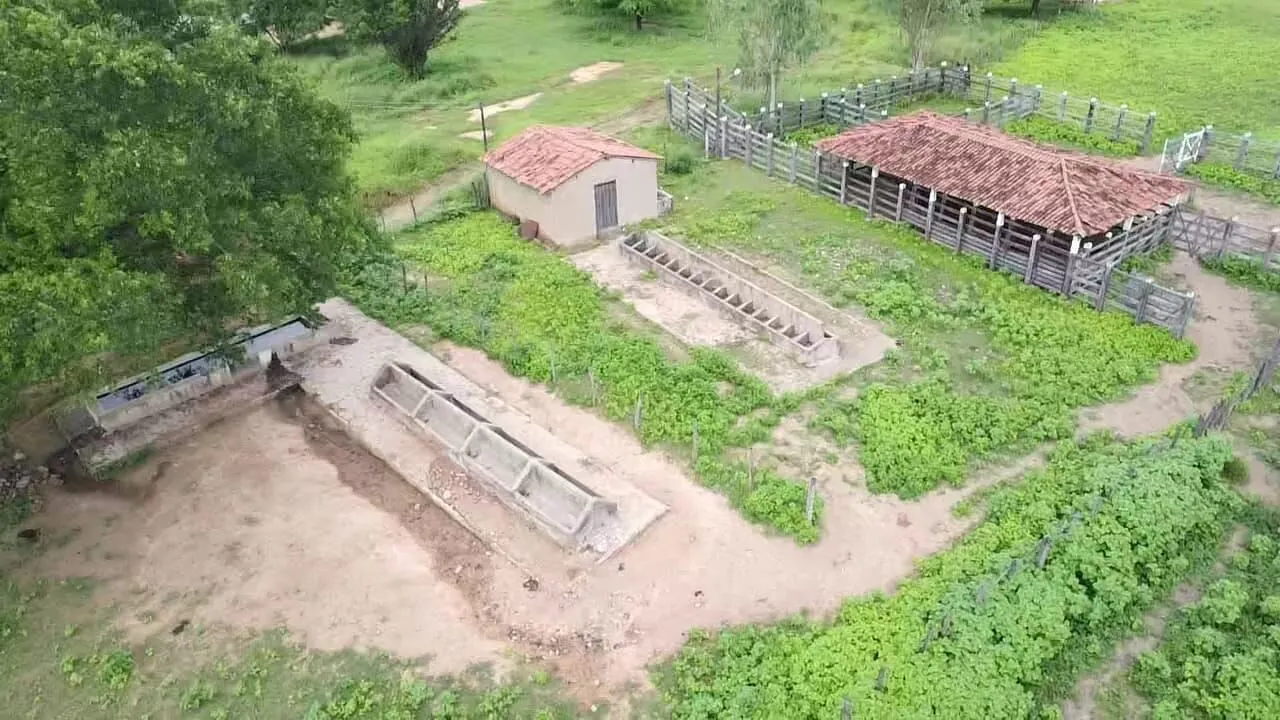 Terreno à venda de 1.310 ha em Morpará, BA, Brasil
