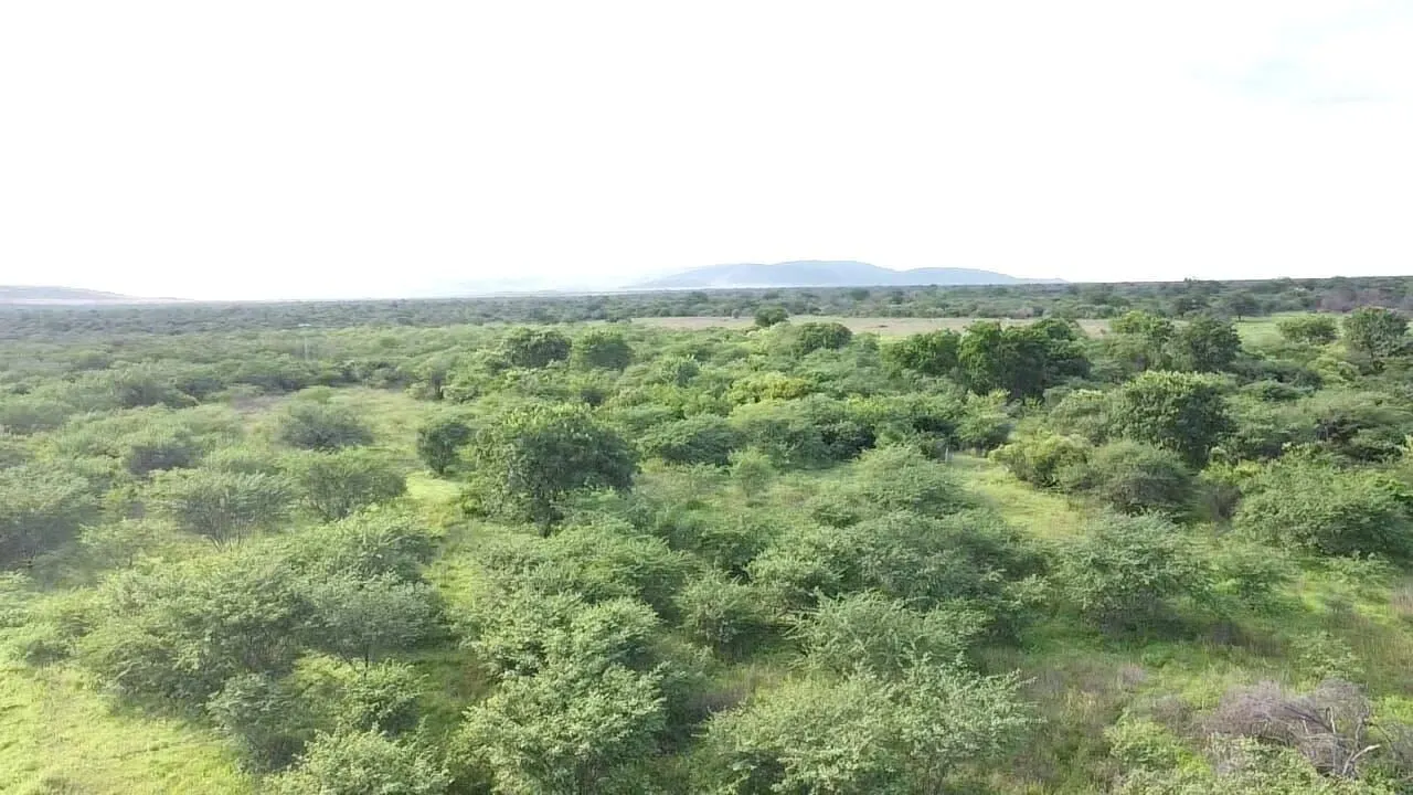 Terreno à venda de 1.310 ha em Morpará, BA, Brasil