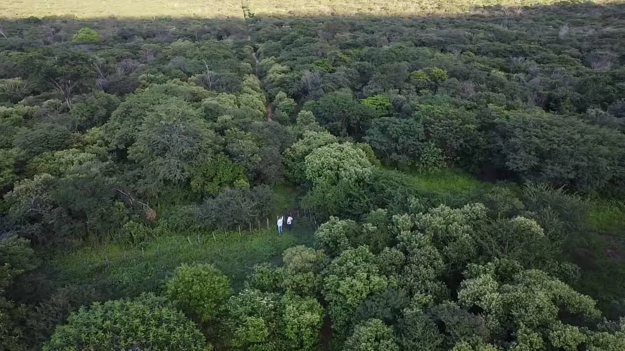 Terreno à venda de 1.310 ha em Morpará, BA, Brasil