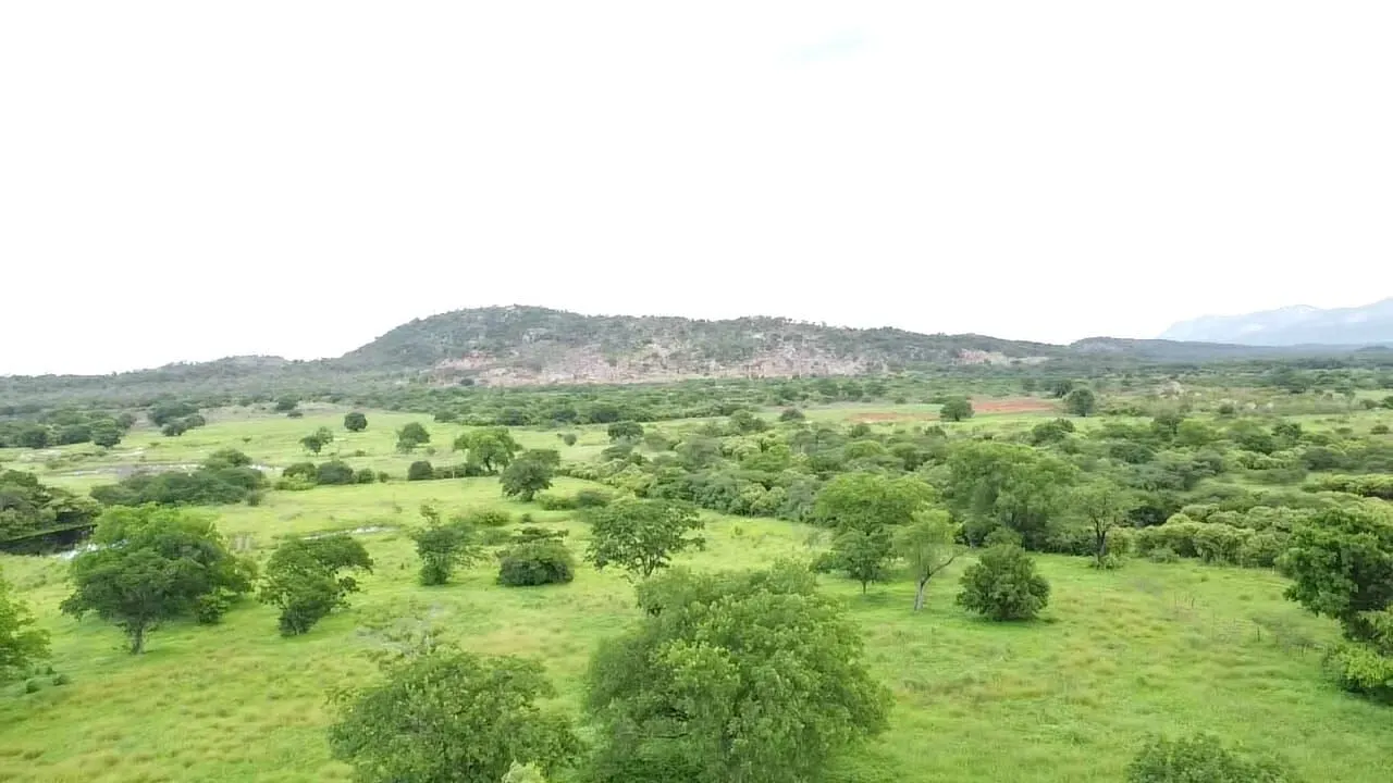 Terreno à venda de 1.310 ha em Morpará, BA, Brasil