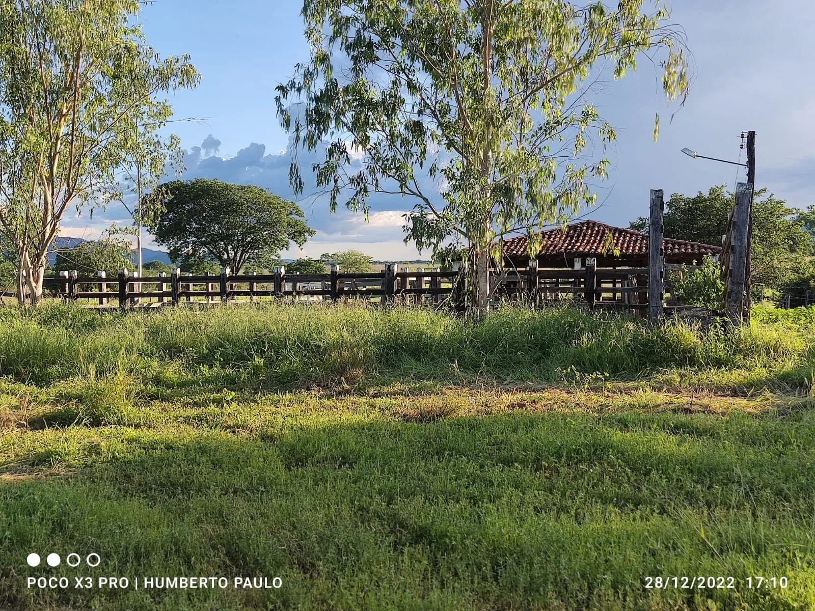 Terreno à venda de 1.310 ha em Morpará, BA, Brasil