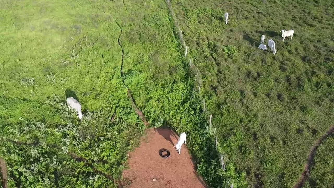 Terreno à venda de 1.310 ha em Morpará, BA, Brasil