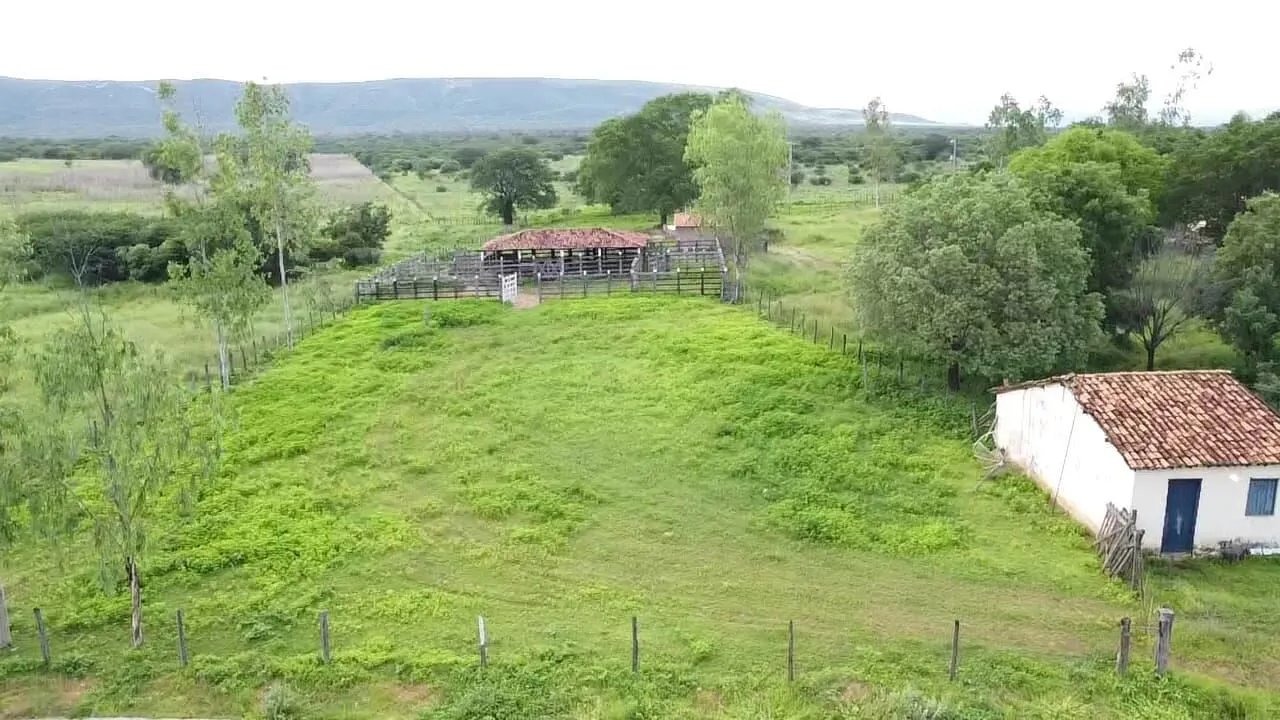 Terreno à venda de 1.310 ha em Morpará, BA, Brasil