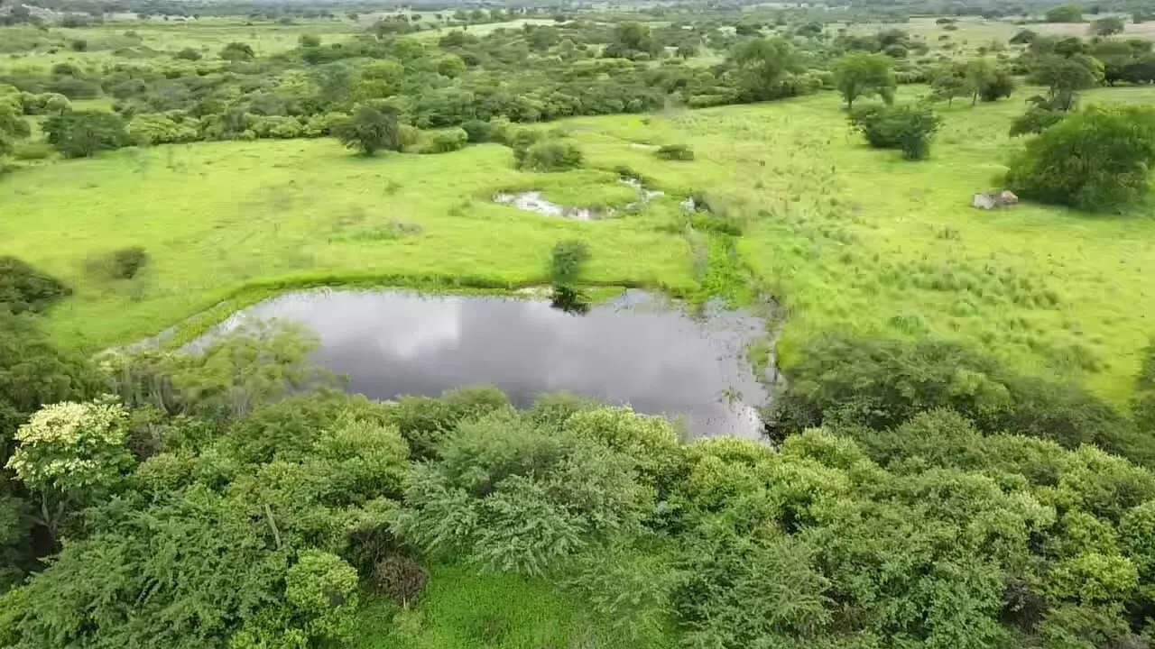 Terreno à venda de 1.310 ha em Morpará, BA, Brasil