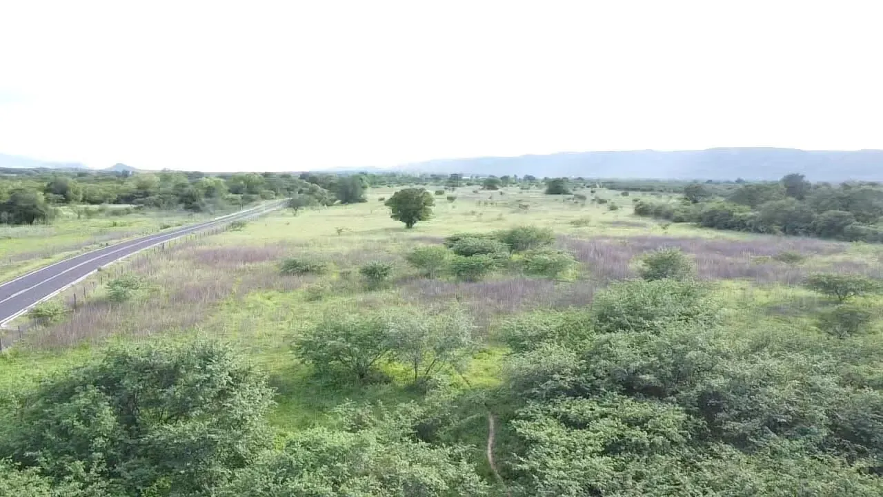 Terreno à venda de 1.310 ha em Morpará, BA, Brasil
