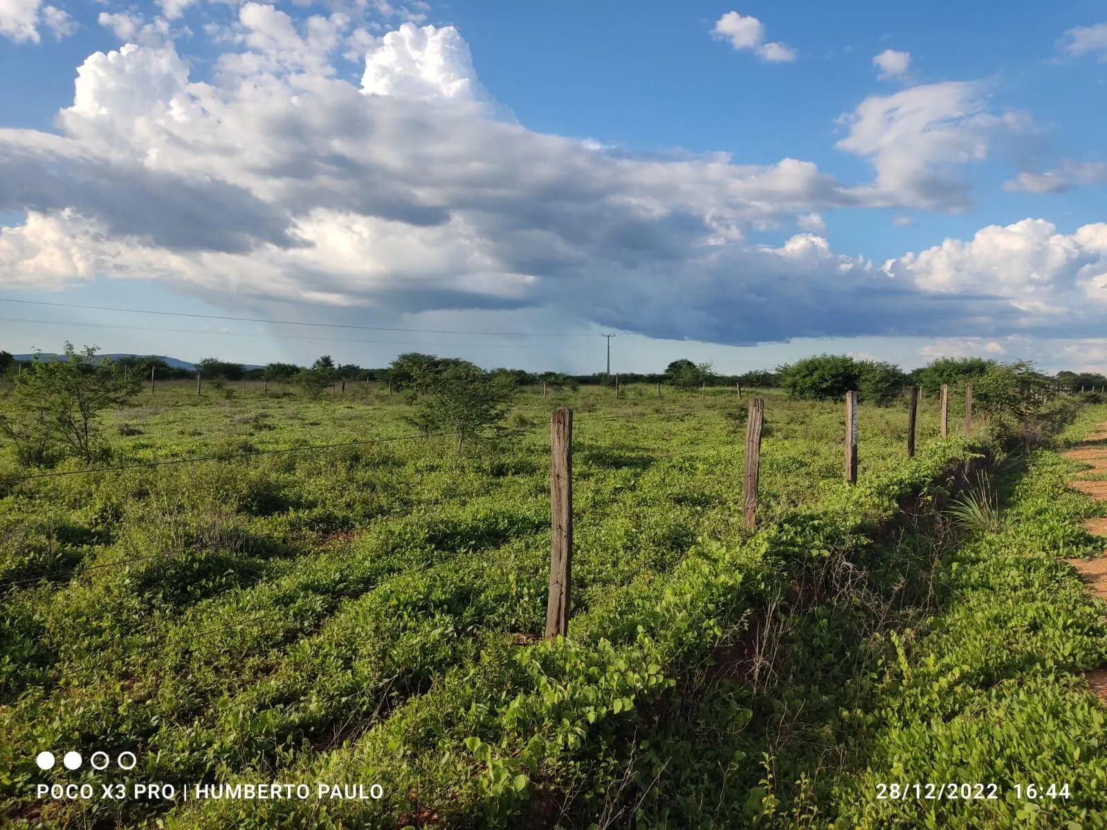 Terreno à venda de 1.310 ha em Morpará, BA, Brasil