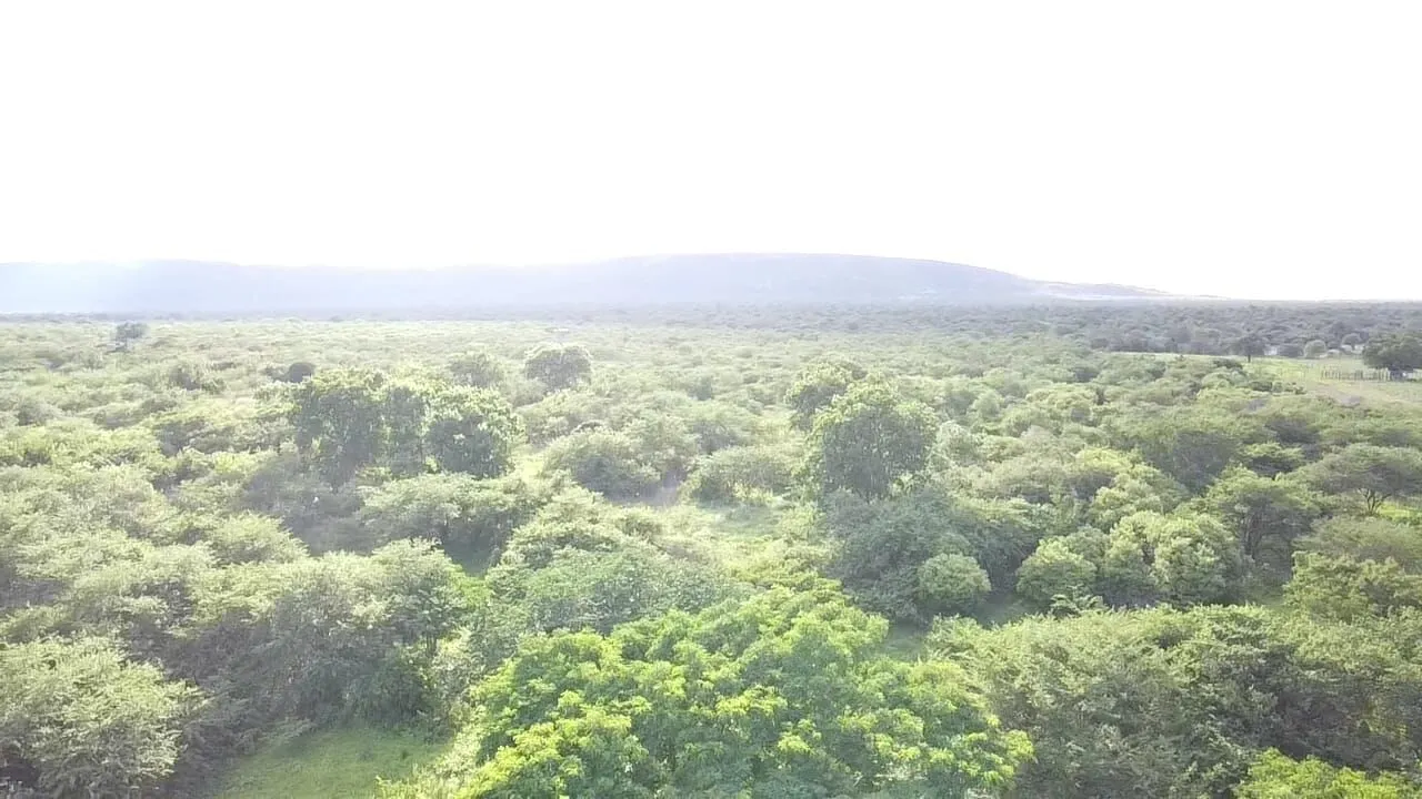 Terreno à venda de 1.310 ha em Morpará, BA, Brasil