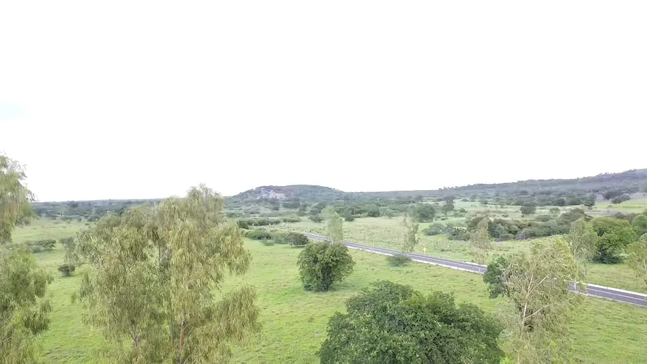 Terreno à venda de 1.310 ha em Morpará, BA, Brasil