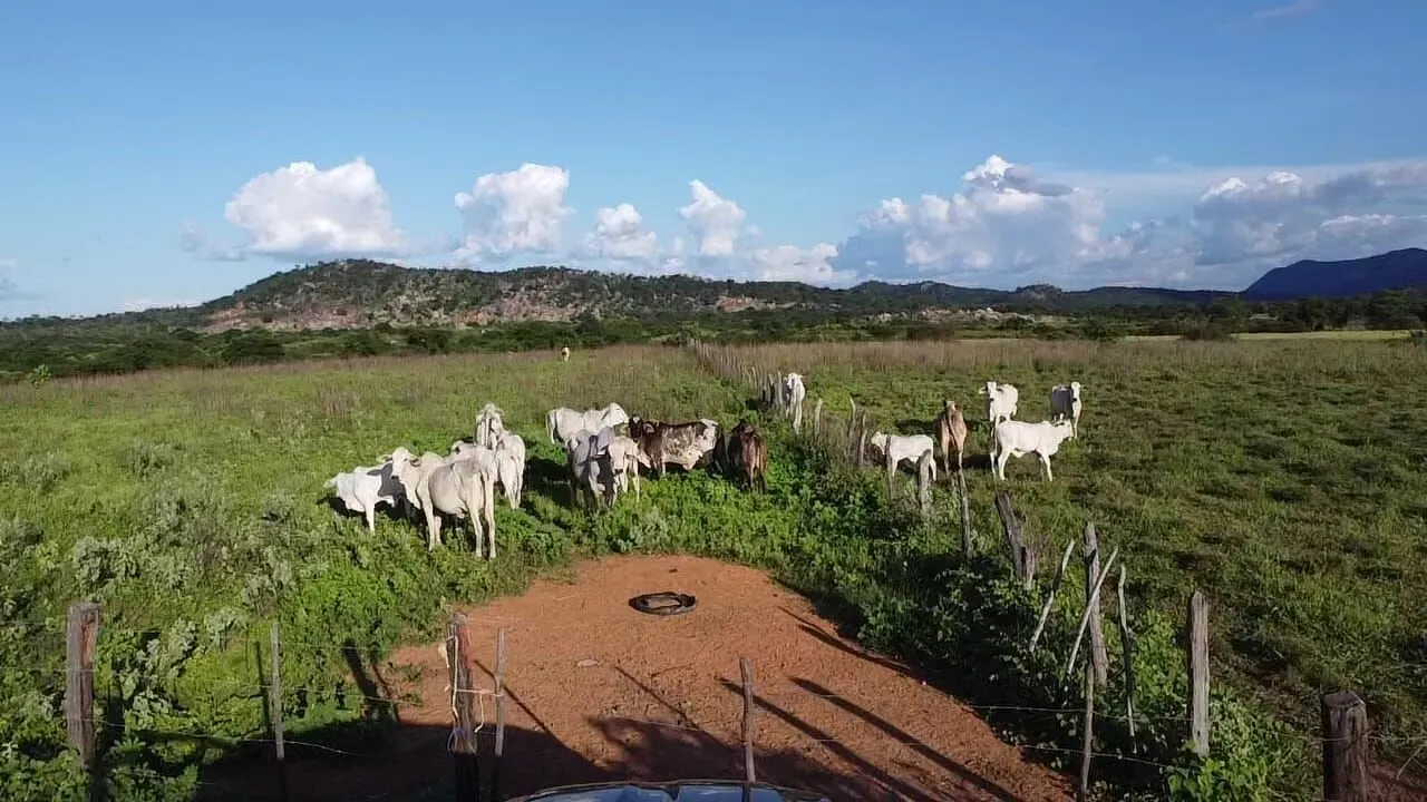 Terreno à venda de 1.310 ha em Morpará, BA, Brasil