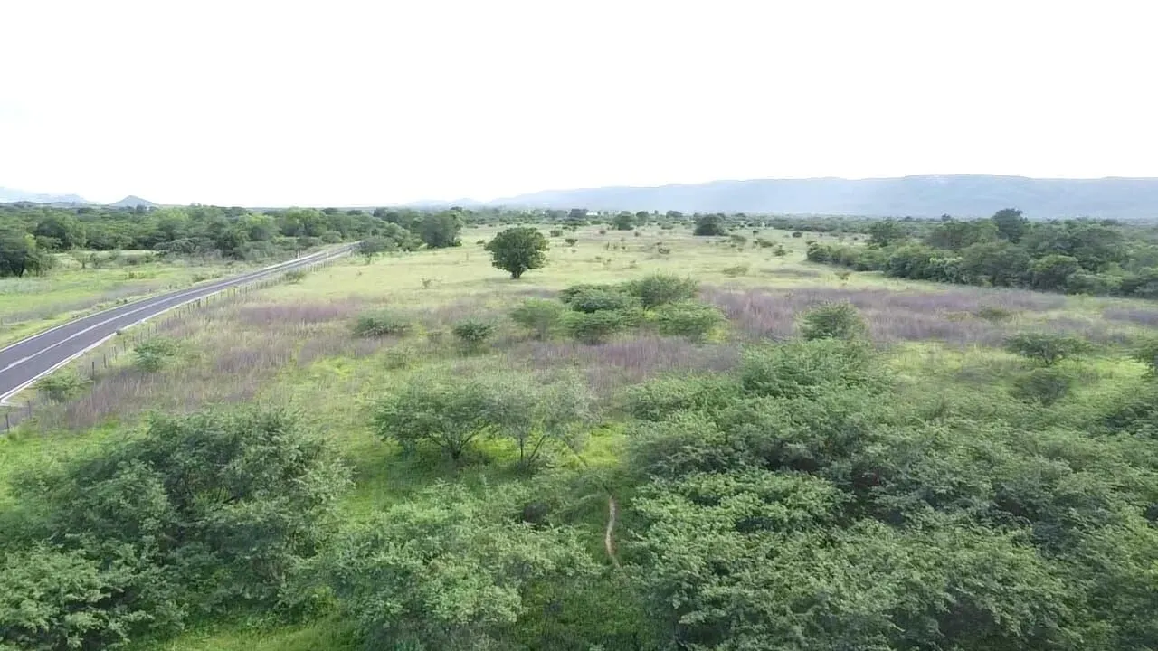 Terreno à venda de 1.310 ha em Morpará, BA, Brasil