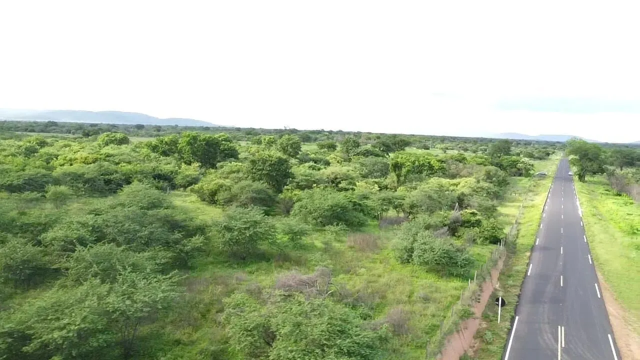 Terreno à venda de 1.310 ha em Morpará, BA, Brasil