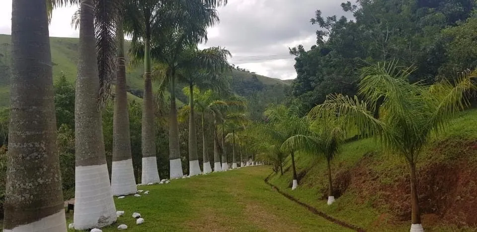 Sítio à venda de 19 ha em Monteiro Lobato, SP, Brasil