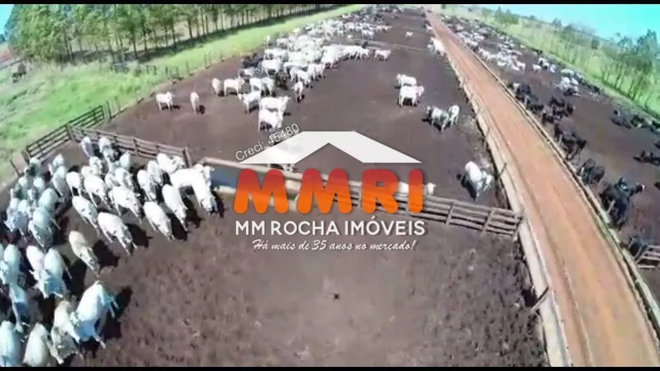Fazenda à venda de 2.400 ha em Presidente Prudente, SP, Brasil