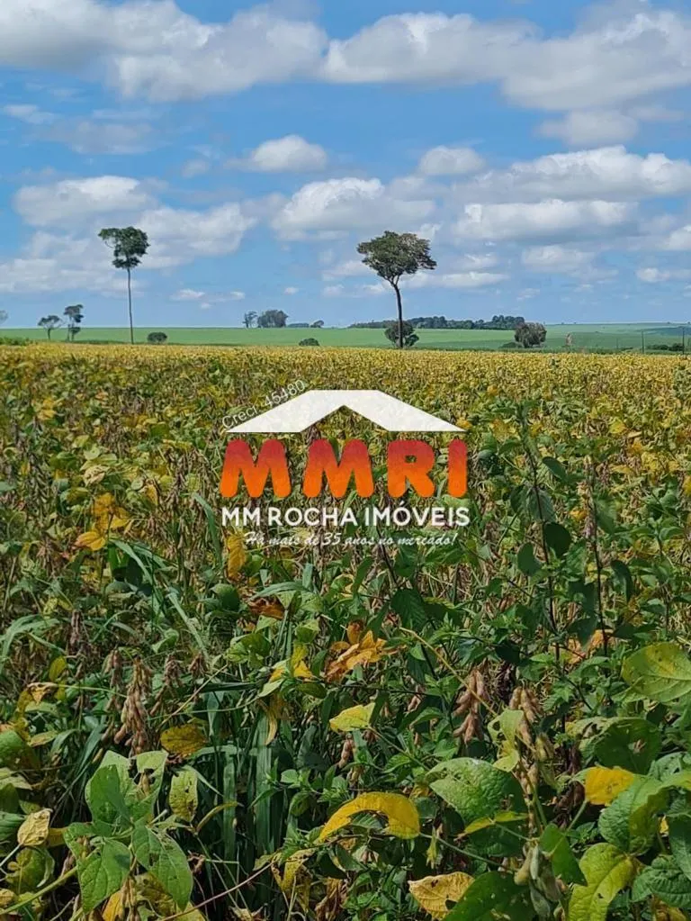 Fazenda à venda de 2.400 ha em Presidente Prudente, SP, Brasil