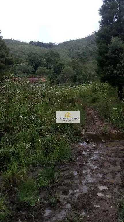 Fazenda à venda de 72 ha em Cunha, SP, Brasil