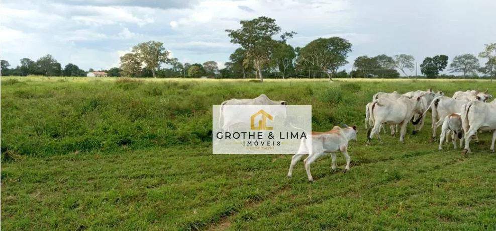 Fazenda à venda de 4.743 ha em Cocalinho, MT, Brasil