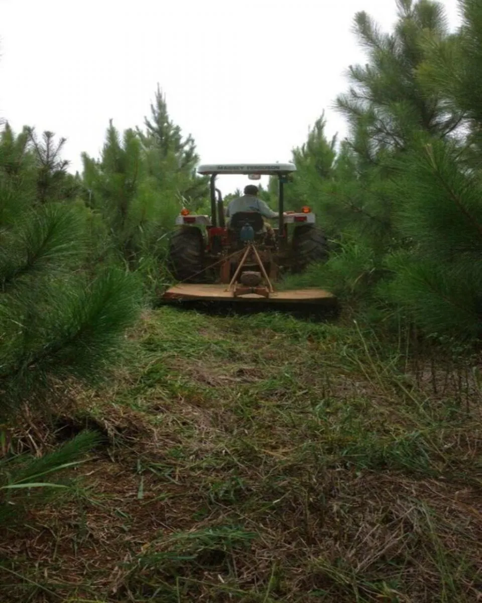 Fazenda à venda de 160 ha em Registro, SP, Brasil