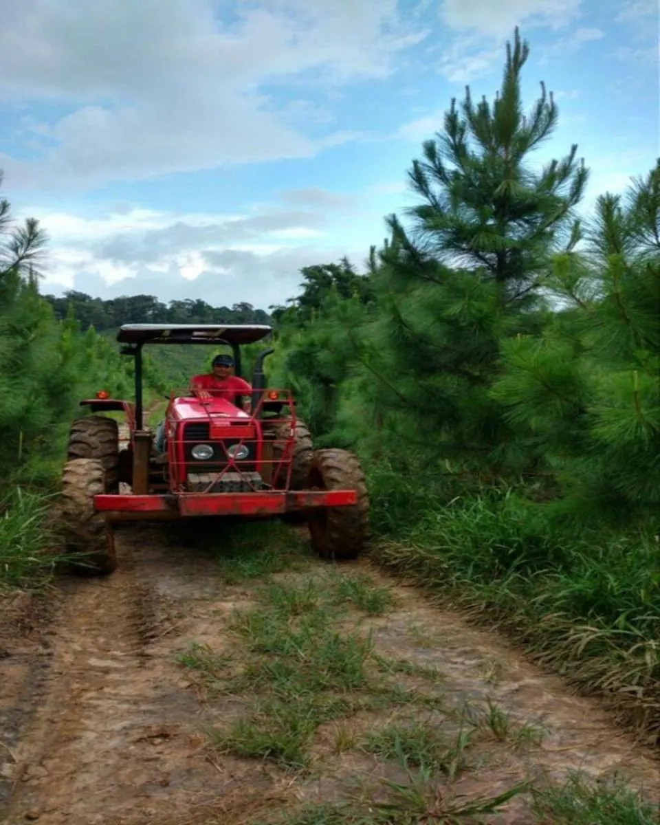 Fazenda à venda de 160 ha em Registro, SP, Brasil