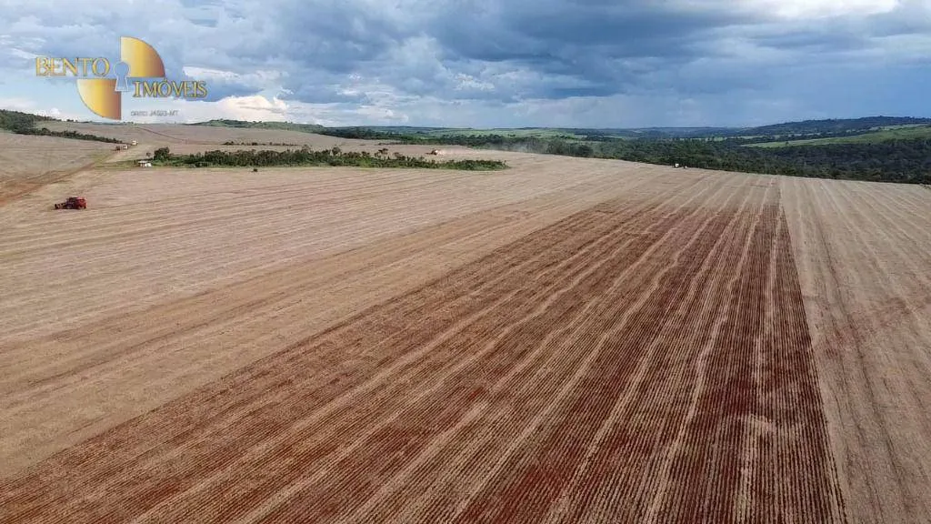 Farm for sale of 3,333 acres in Primavera do Leste, MT, Brazil