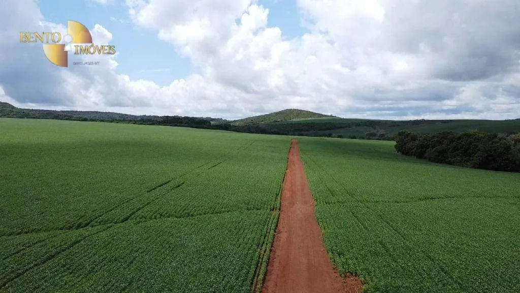 Farm for sale of 3,333 acres in Primavera do Leste, MT, Brazil