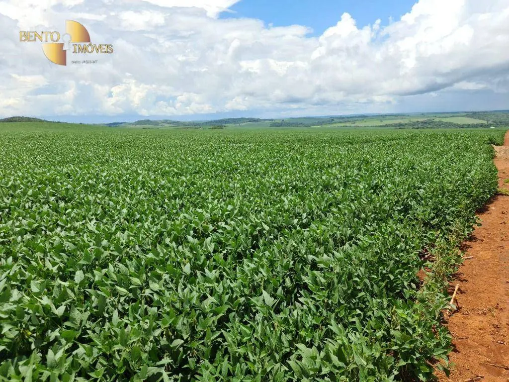 Farm for sale of 3,333 acres in Primavera do Leste, MT, Brazil