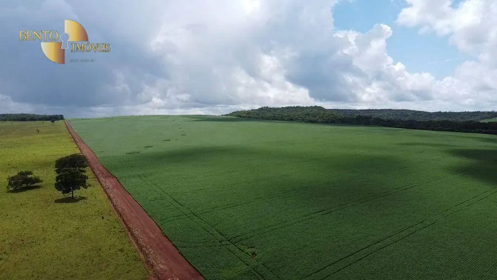 Farm for sale of 3,333 acres in Primavera do Leste, MT, Brazil
