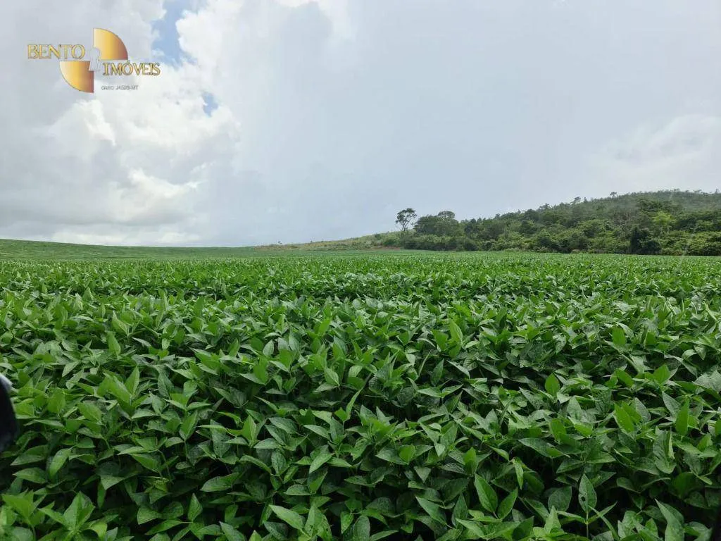 Farm for sale of 3,333 acres in Primavera do Leste, MT, Brazil