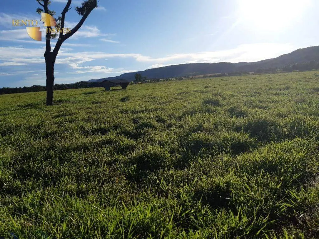 Fazenda à venda de 911 ha em Nobres, MT, Brasil