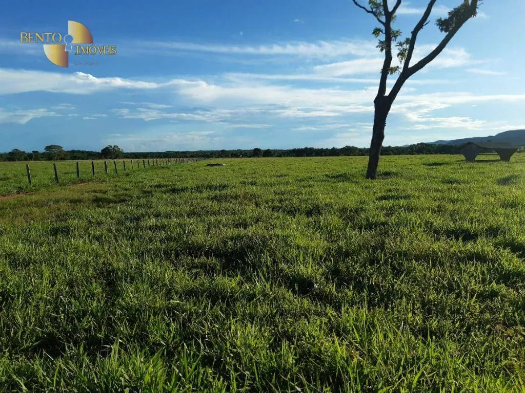 Fazenda à venda de 911 ha em Nobres, MT, Brasil